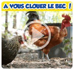 Achat Discount - Vidéo
