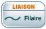 Filaire