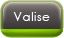 Valise