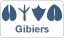 Gibier