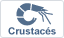 Crustacés - Fruits de mer