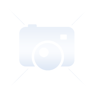 Iris IRISCard Mini 4
