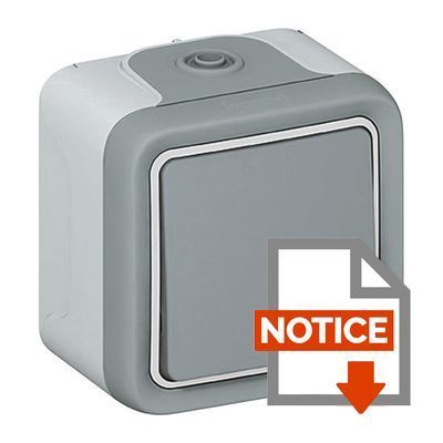 Interrupteur Va-et-vient Legrand Prog Plexo - Modèle Saillie Gris 10A, Réf. 069711 - Neuf, Fabriqué En Pologne